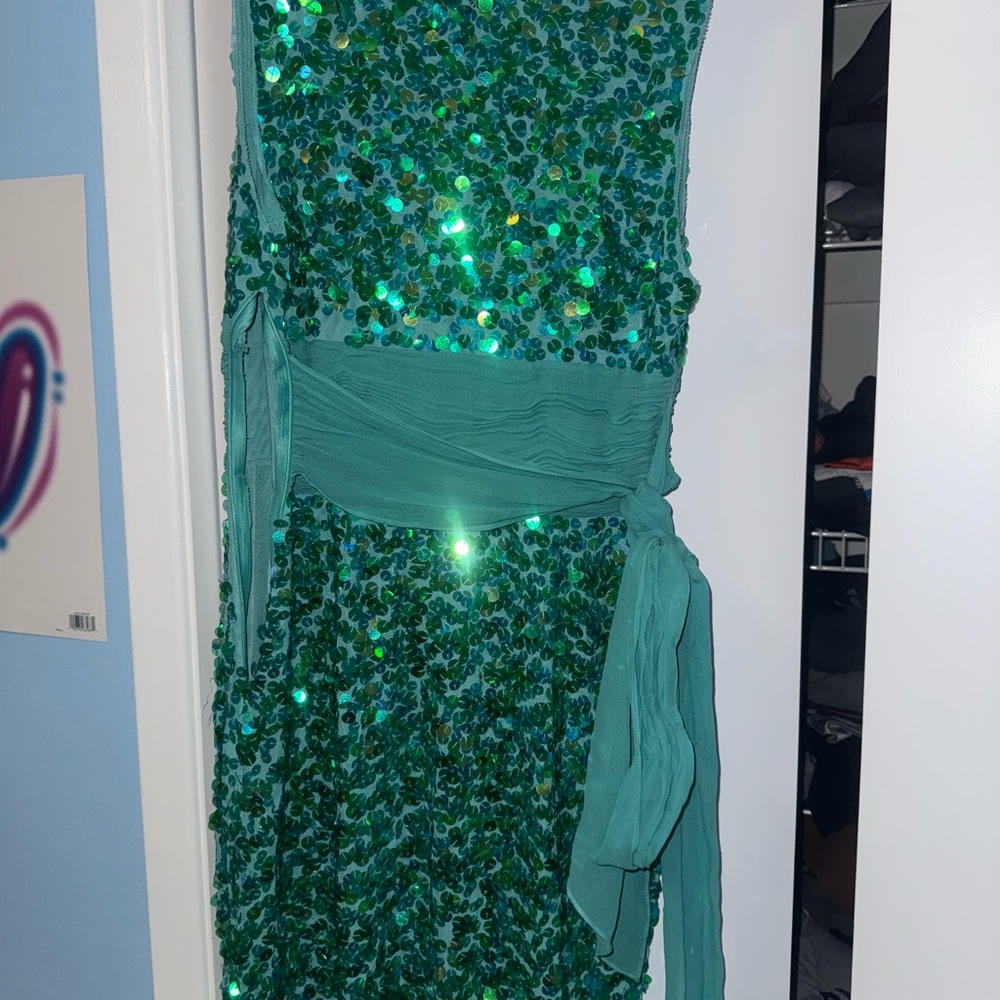 Elegant Green Sequin Dress - Picture 5 of 5